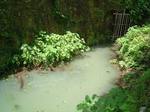 20060802_1.JPG