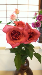 IMG_20180503_174932.jpg