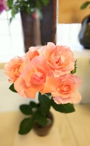 IMG_20180503_175007.jpg